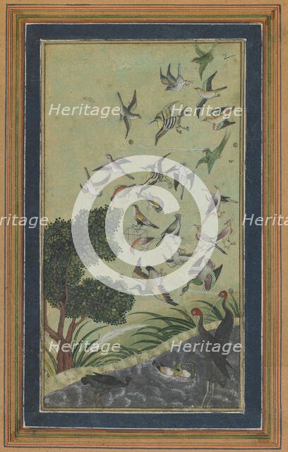 Birds at Baran, possibly from the Babur-nama, late 16th century. Creator: Unknown.