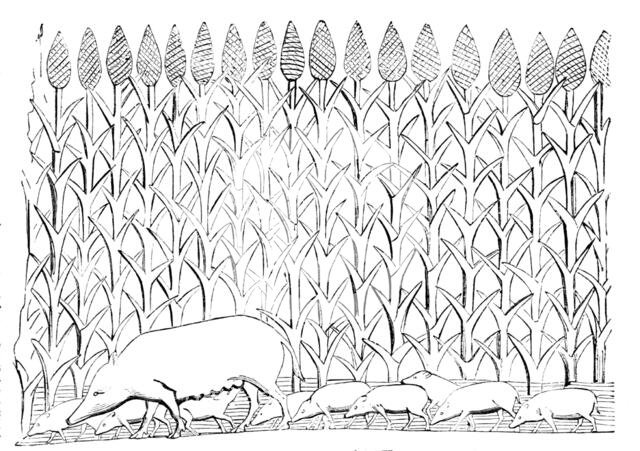 The British Museum - Nineveh Sculptures: Sow and Pigs in the Wadi L'Kasab...1857.  Creator: Unknown.