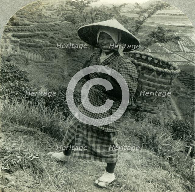 'A Country Girl among the Famous Tea Fields of Shizuoka, Japan', c1930s. Creator: Unknown.