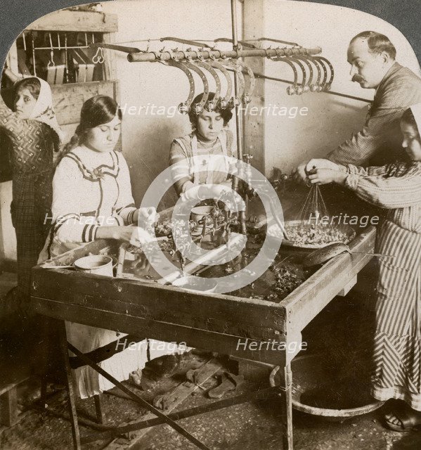 Manufacturing silk, Syria, 1900s.Artist: Underwood & Underwood