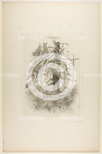 Old Trees at Naushon Island, 1864. Creator: Robert Swain Gifford.