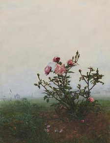 Rose Bush in front of a Landscape, 1863. Creator: Leon Bonvin.