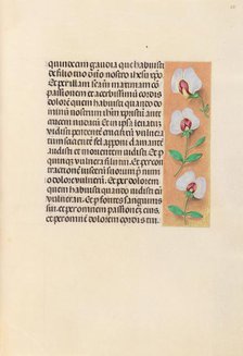 Hours of Queen Isabella the Catholic, Queen of Spain: Fol. 259r, c. 1500. Creator: Master of the First Prayerbook of Maximillian (Flemish, c. 1444-1519); Associates, and.