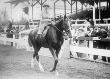 Morton, Miss Helen - Horse Show, 1914. Creator: Harris & Ewing.