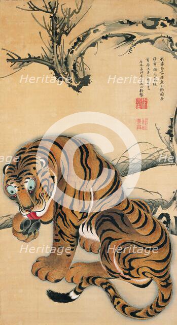 Tiger, 1755. Creator: Jakuchu, Ito (1716-1800).