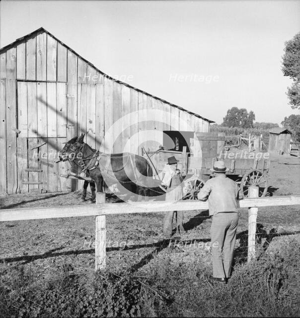Farm Security Administration rural rehabilitation client, Tulare County, California, 1938. Creator: Dorothea Lange.