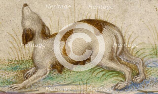 Gualenghi-d'Este Hours, about 1469. Creator: Taddeo Crivelli.