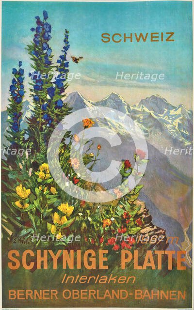 Schynige Platte, 1952. Creator: Hodel, Ernst (1881-1955).