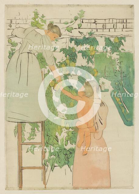 Gathering Fruit, c. 1893. Creator: Mary Cassatt.