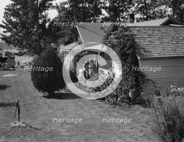 Possibly: near Wapato, Yakima Valley, Washington, 1939. Creator: Dorothea Lange.