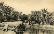'Across the "Kora", Basra', c1918-c1939. Creator: Unknown.
