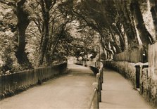 'Chine Avenue, Shanklin, I.W.', c1920. Creator: Unknown.