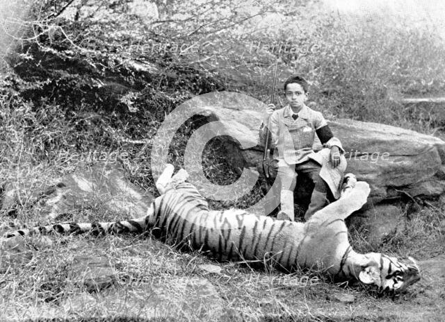 The first tiger shot by Prince Bughwan Singh, aged twelve, 1895. Creator: J. Cowell.