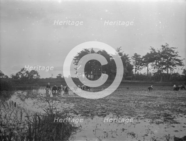 Travel views of Japan and Korea, 1908. Creator: Arnold Genthe.