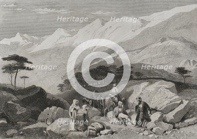 Cedars, Mount Lebanon, 1840. Creator: Charles Nicolas Ransonnette.