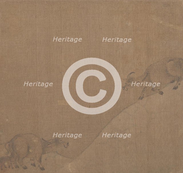 Water Buffaloes. Creator: Unknown.