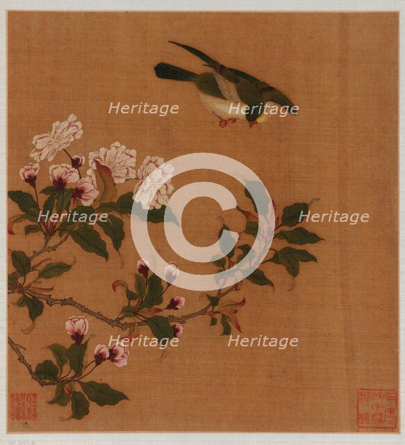 A bird hovering over blossoming branches, Qing dynasty, 18th century. Creator: Unknown.