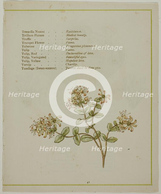 Valerian Through Volkamenia, from The Illuminated Language of Flowers, published 1884. Creators: Edmund Evans, Catherine Greenaway.