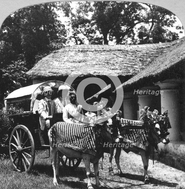 Leaving the dak bungalow for a 'bile-gharry', Belgaum district, southern India, 1900s.Artist: Realistic