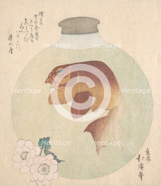 Gold-Fish in a Glass Bottle, 19th century. Creator: Totoya Hokkei.