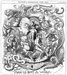 'Man is but a Worm', cartoon from Punch showing evolution from worm to man, 1881. Artist: Unknown