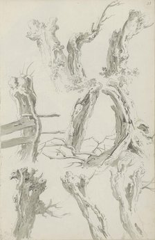 Sheet of sketches with pollarded willows, c.1780-c.1800.  Creator: Bernhard Heinrich Thier.