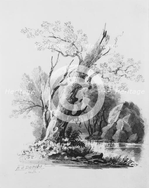 Forest Grove, . Creator: William Guy Wall.