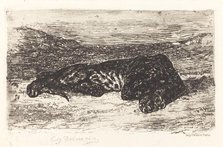 Tiger Sleeping in the Desert, c. 1830. Creator: Eugene Delacroix.