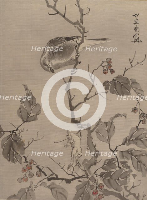 Bird and Frog, ca. 1887. Creator: Kawanabe Kyosai.