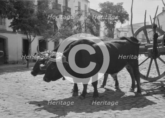 Travel views of Europe, between 1904 and 1938. Creator: Arnold Genthe.