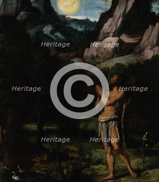 St. John the Baptist in the Wilderness, c1535. Creator: Moretto da Brescia.