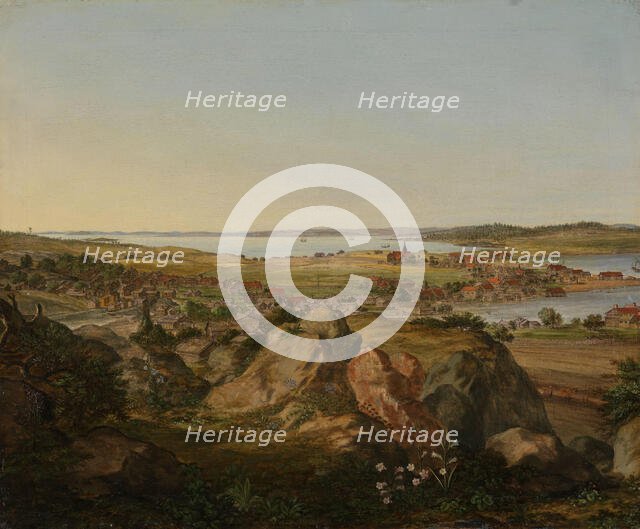 View of Moss, 1699. Creator: Jacob Koninck the Younger.