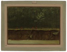 View of the Lower Mississippi, 1861/1869. Creator: George Catlin.