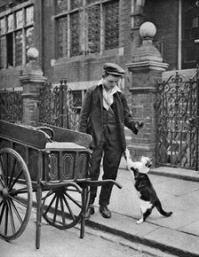 'Cat's meat man',  London, 1926-1927. Artist: McLeish
