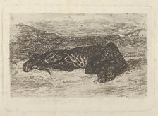 Tiger Lying in the Desert, 1846 (?)., 1846 (?). Creator: Eugene Delacroix.