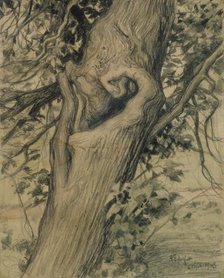 Old linden tree, 1903. Creator: Albert Edelfelt.