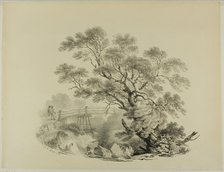Tree and Footbridge, 1820. Creator: Francis Nicholson.