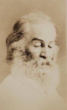 Walt Whitman, c1861. Creator: Unknown.