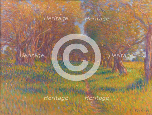 Olive trees in Provence, 1902. Creator: Rheiner, Louis (1863-1924).