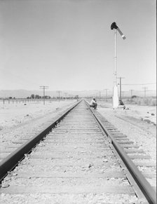 Looking east down the railroad track, near Calipatria, California, 1939. Creator: Dorothea Lange.