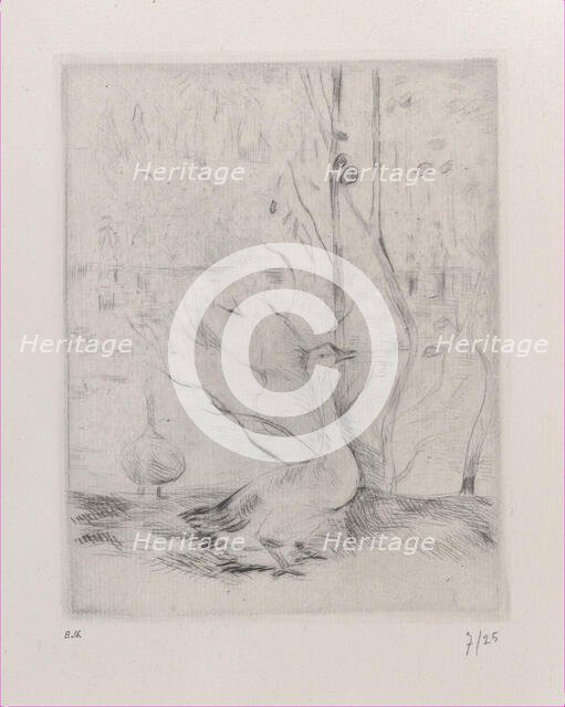 Goose, 1889. Creator: Berthe Morisot.