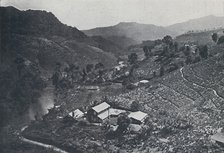 'Cingalese Tea Plantation', 1924. Artist: Unknown.