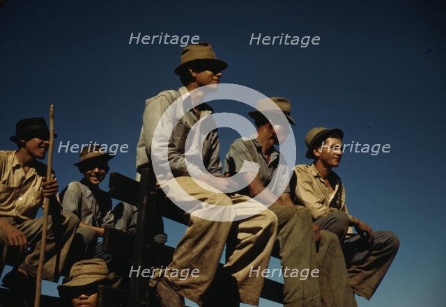 Sugar cane workers resting at the noon hour, Rio Piedras, Puerto Rico, 1941. Creator: Jack Delano.