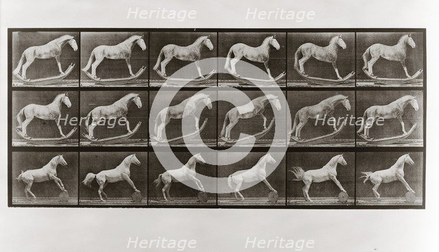Horse on Rockers and Horse Rolling a Barrel, Plate 649 from Animal Locomotion, 1887 (photograph)