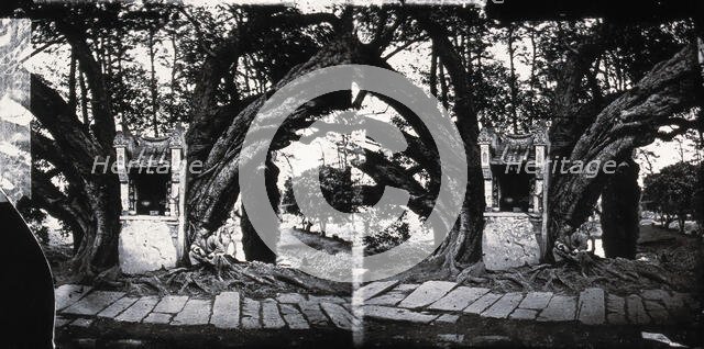 China, 1869, (1981). Creator: Unknown.