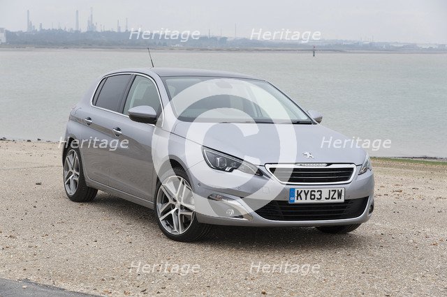 2014 Peugeot 308 THP 156 Feline Artist: Unknown.