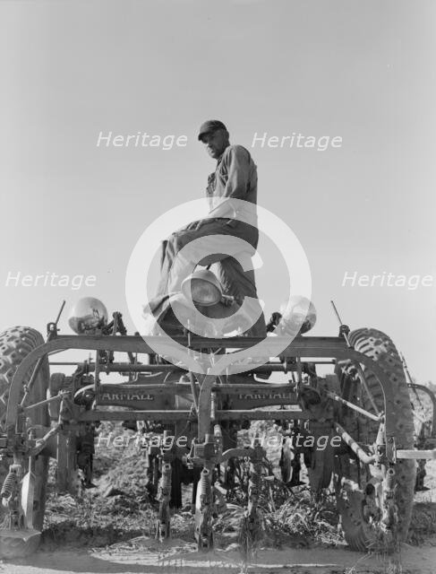 Tractor on Lake Dick project, Arkansas, 1938. Creator: Dorothea Lange.