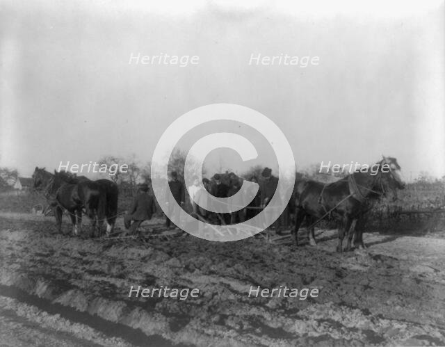 American Indian and African American students at Hampton Institute, Hampton, Va. 1900(?) Creator: Frances Benjamin Johnston.