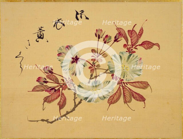 From the Sketch Book of Sakura (Cherry Blossoms), Between 1830 and 1853. Creator: Sakamoto, Konen (1800-1853).