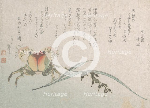 Crab and Rice Plant, 19th century. Creator: Hokusai.